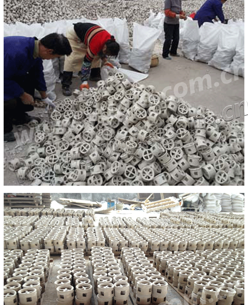 陶瓷阶梯环填料 陶瓷阶梯环填料